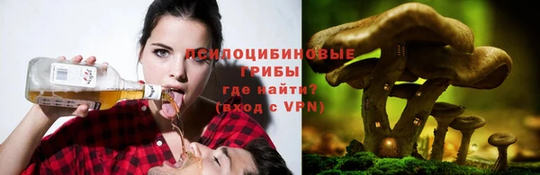 эйфоретик Балахна