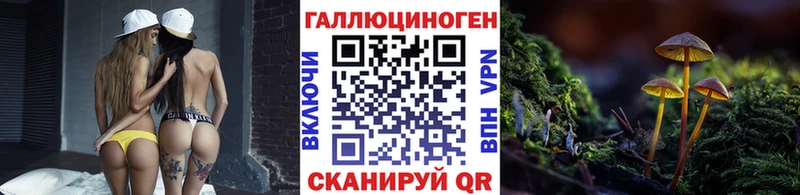 Галлюциногенные грибы Psilocybe  где найти   shop клад  Олонец 